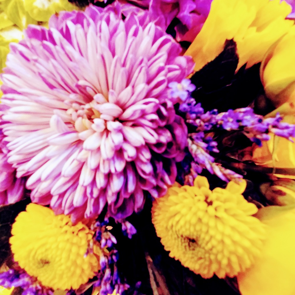 Meet your Posher, Angel